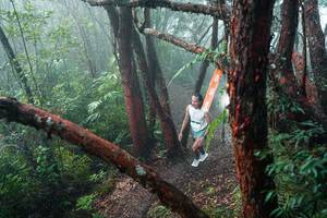 BIB: 
                            <button type="button" onclick="openModal(26343765)" class="btn btn-primary btn-sm float-right btn-popup" data-toggle="modal" data-target=".modal-high-quality">
                        <i class="fas fa-shopping-cart"></i> Add to Cart
                    </button>
                                            <button type="button" onclick="isThisMe(26343765, true)" class="btn btn-success btn-sm float-right btn-popup btn-isme hidden" data-toggle="tooltip" data-placement="bottom" title="นี่คือรูปของคุณใช่ไหม คลิกที่นี่เพื่อเอาเข้าอัลบั้ม">
                        <i class="fas fa-plus"></i> Add to album
                    </button>
                    <button type="button" onclick="isThisMe(26343765, false)" class="btn btn-warning btn-sm float-right btn-popup btn-isnotme hidden">
                        <i class="fas fa-ban"></i> Remove from album
                    </button>